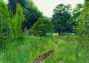 Sream at Nantymynach
