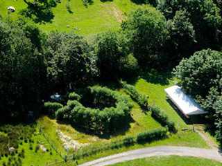 The Living Willow Theatre