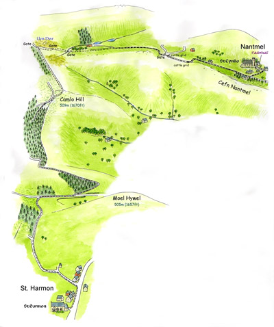 St Harmon to Nantmel trail